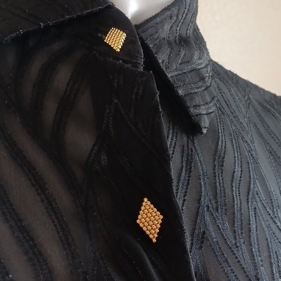 Vintage Sheer Blouse - Picture 2 of 5